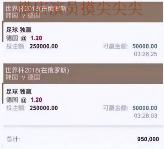 世界杯官方信息背景下的世界杯买球平台推荐与访问方式直播解析