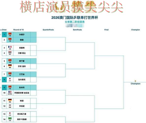 世界杯竞猜网站精选合集：覆盖稳定性评测+直播与入口方式 - 世界杯直播